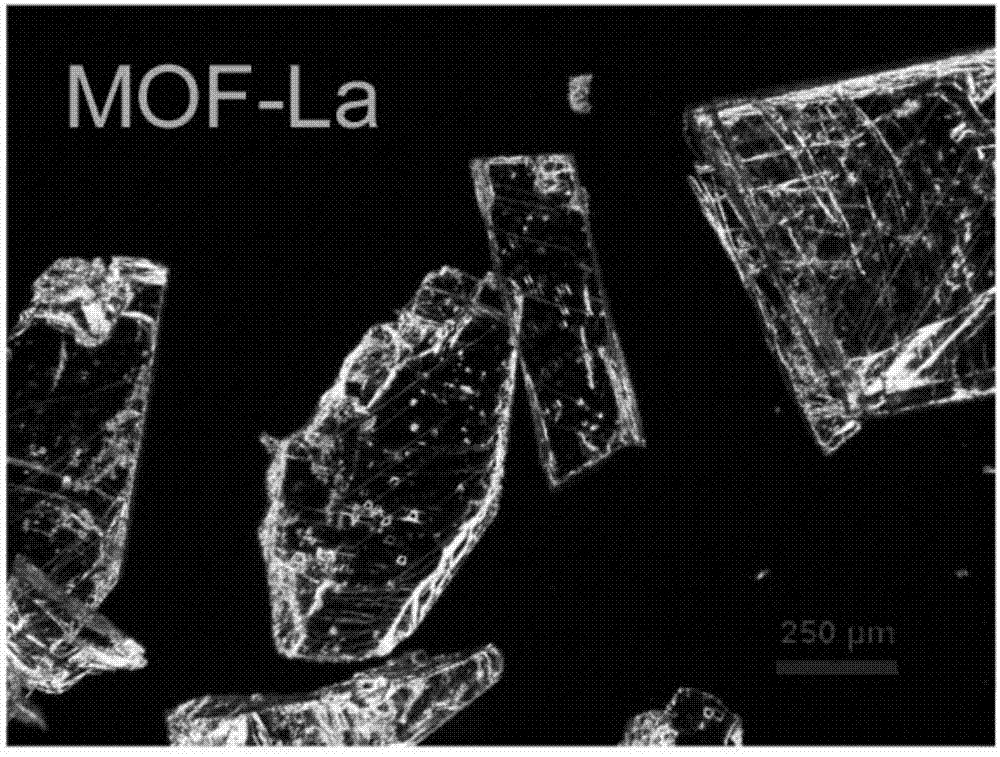 Fluorescent nanoprobe, preparation method thereof and application thereof in biosensor