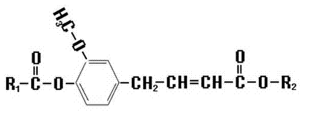 Synthetic method of novel ferulic acid derivative