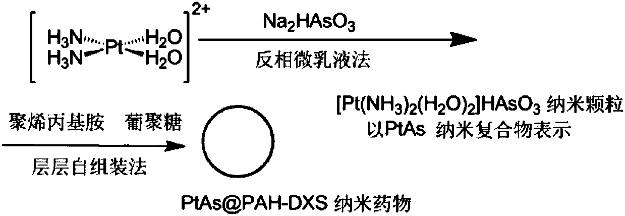 Nano-drug containing cis-platinum and arsenic trioxide and preparation method thereof
