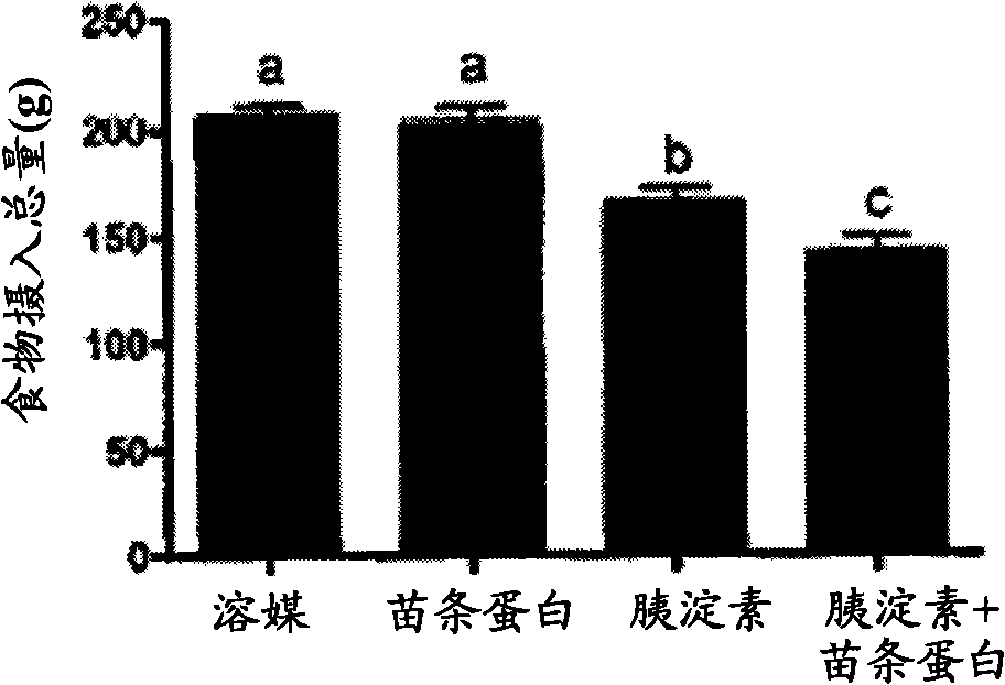 Methods for treating obesity and obesity related diseases and disorders