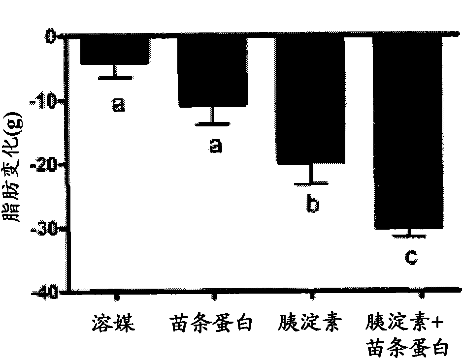 Methods for treating obesity and obesity related diseases and disorders