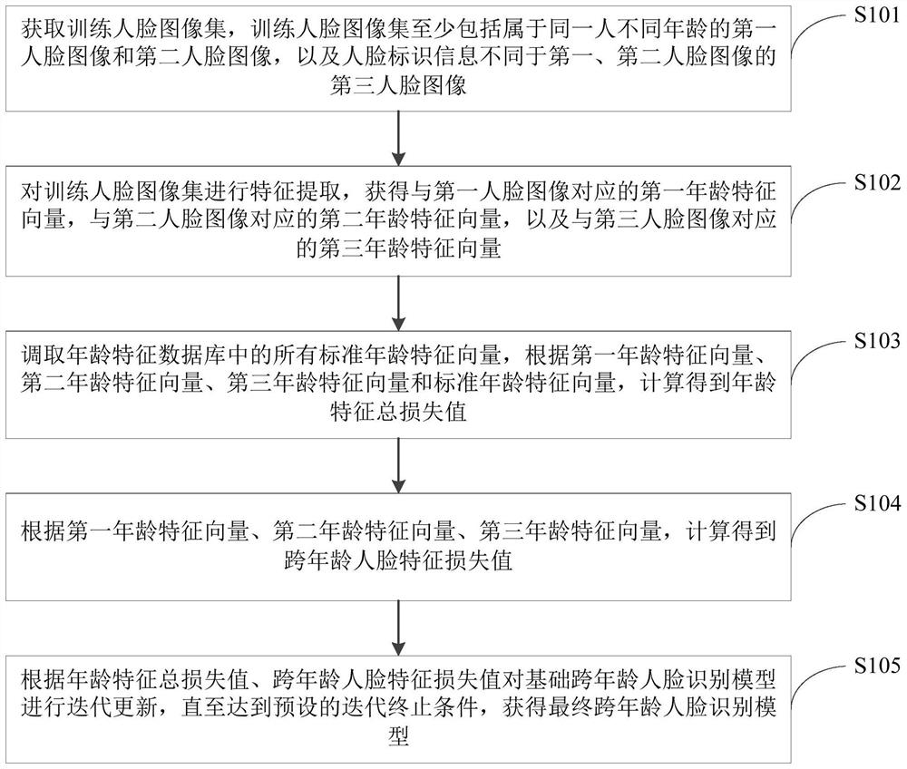 Cross-age face recognition model training method, cross-age face recognition method and cross-age face recognition device