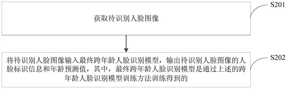 Cross-age face recognition model training method, cross-age face recognition method and cross-age face recognition device