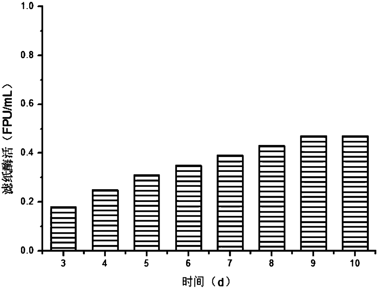 Method for producing cellulase from cornstalk furfural residues through fermentation via mixed fungi