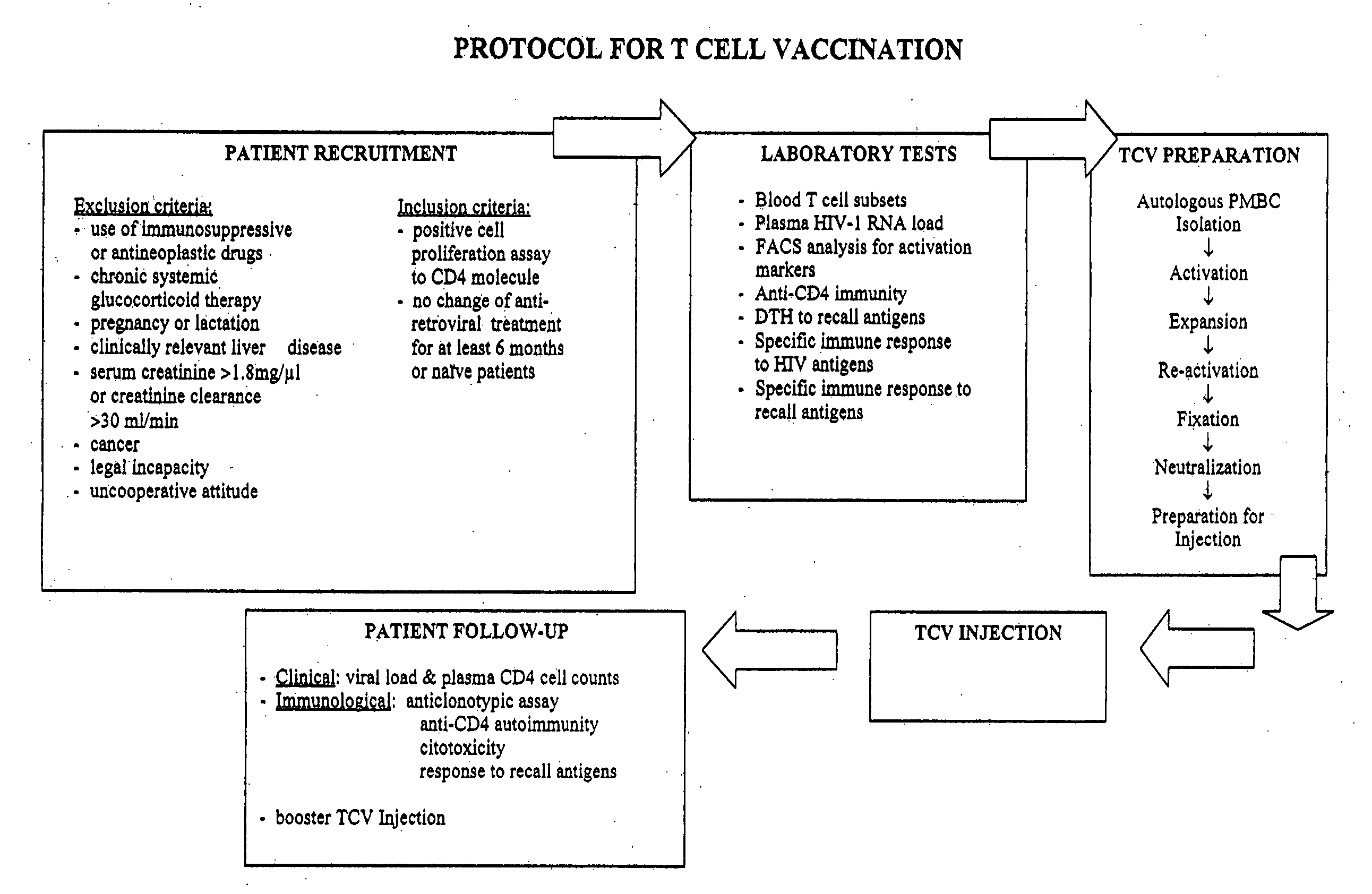 T-cell vaccination in the treatment of HIV infection