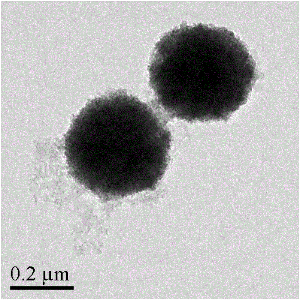 Composite magnetic nanoparticles Fe3O4/MPS/PAA/NTA-Ni&lt;2+&gt; and preparation method and application thereof in separation and purification of histidine-tagged proteins