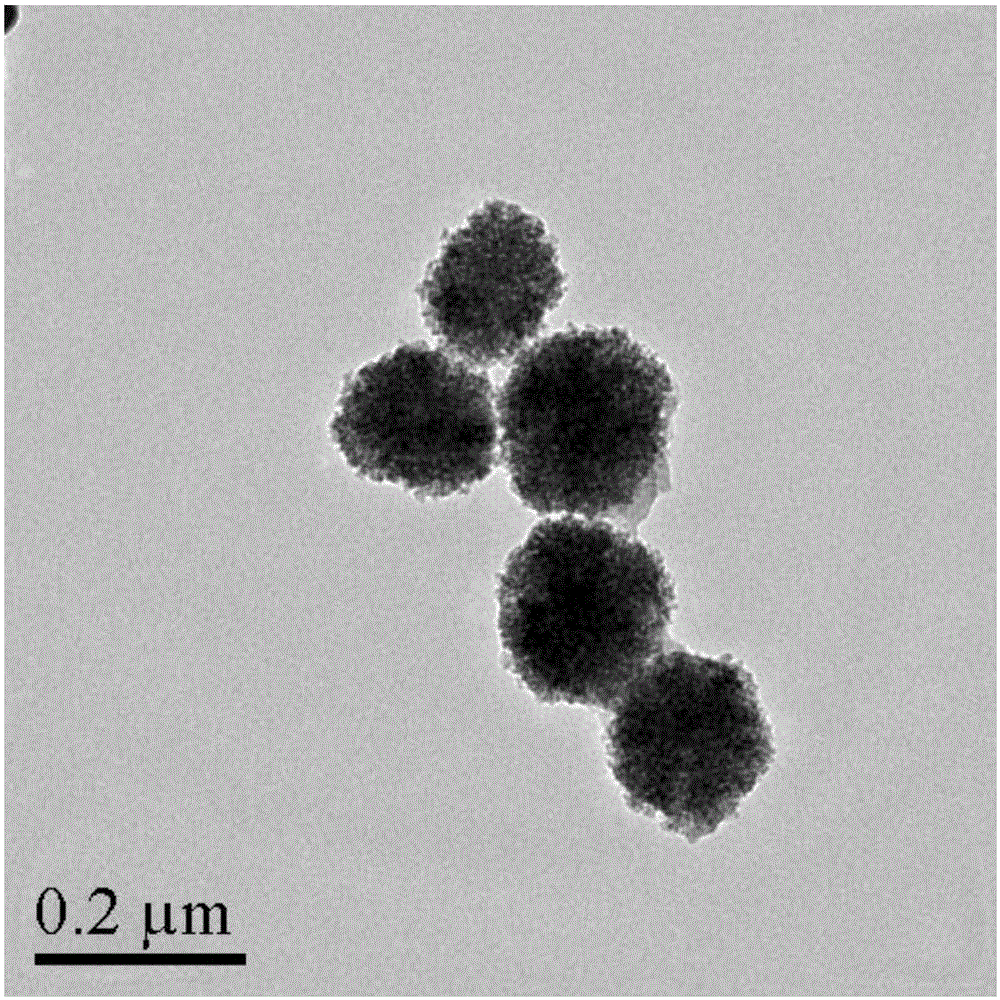 Composite magnetic nanoparticles Fe3O4/MPS/PAA/NTA-Ni&lt;2+&gt; and preparation method and application thereof in separation and purification of histidine-tagged proteins