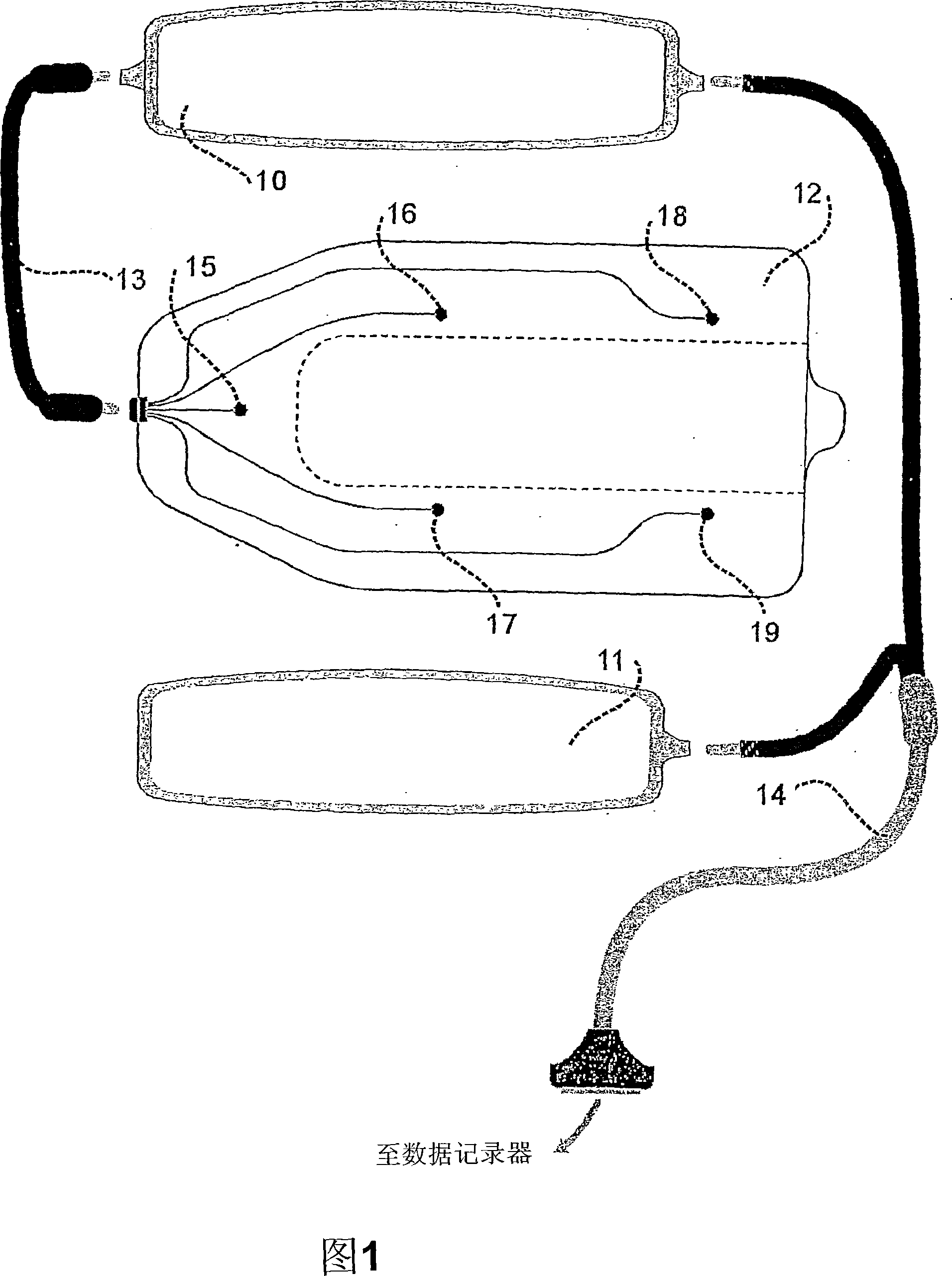 Apparatus and method for monitoring strain and/or load applied to a mammal