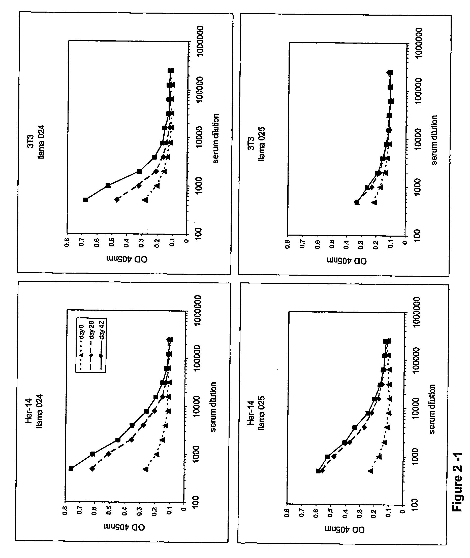 Camelidae single domain antibodies vhh directed against epidermal growth factor receptor and uses therefor