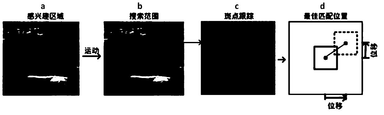 Shear wave elastography method and device