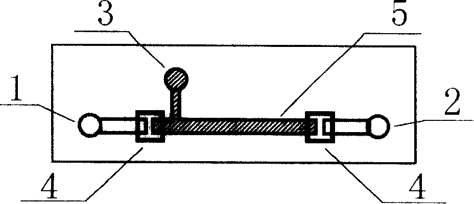 Micro-fluidic chip and its preparation and uses