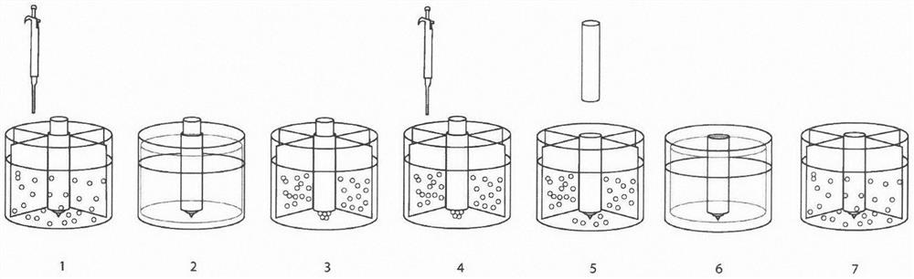 Biomagnetism separation method based on movable magnetic net