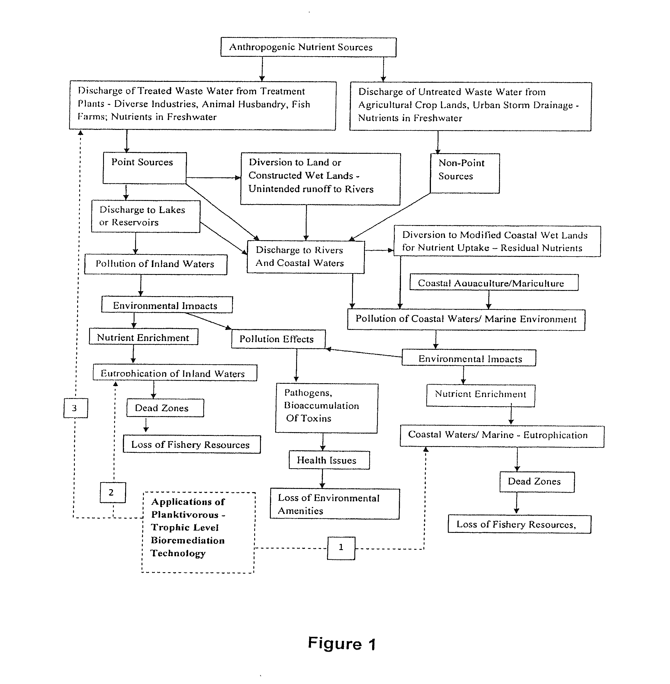 Systems and methods for reducing algal biomass