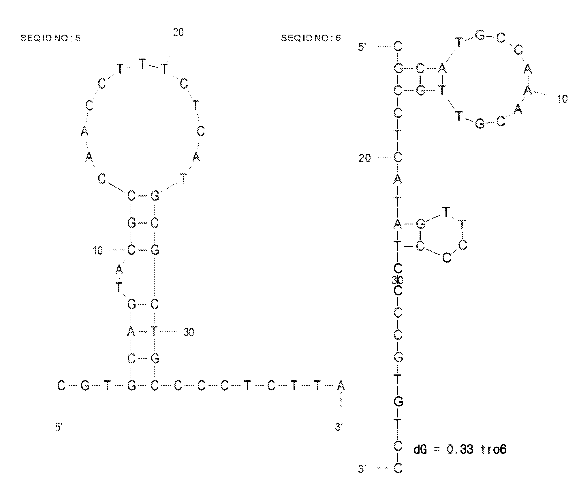 DNA aptamer specifically binding to human cardiac troponin i