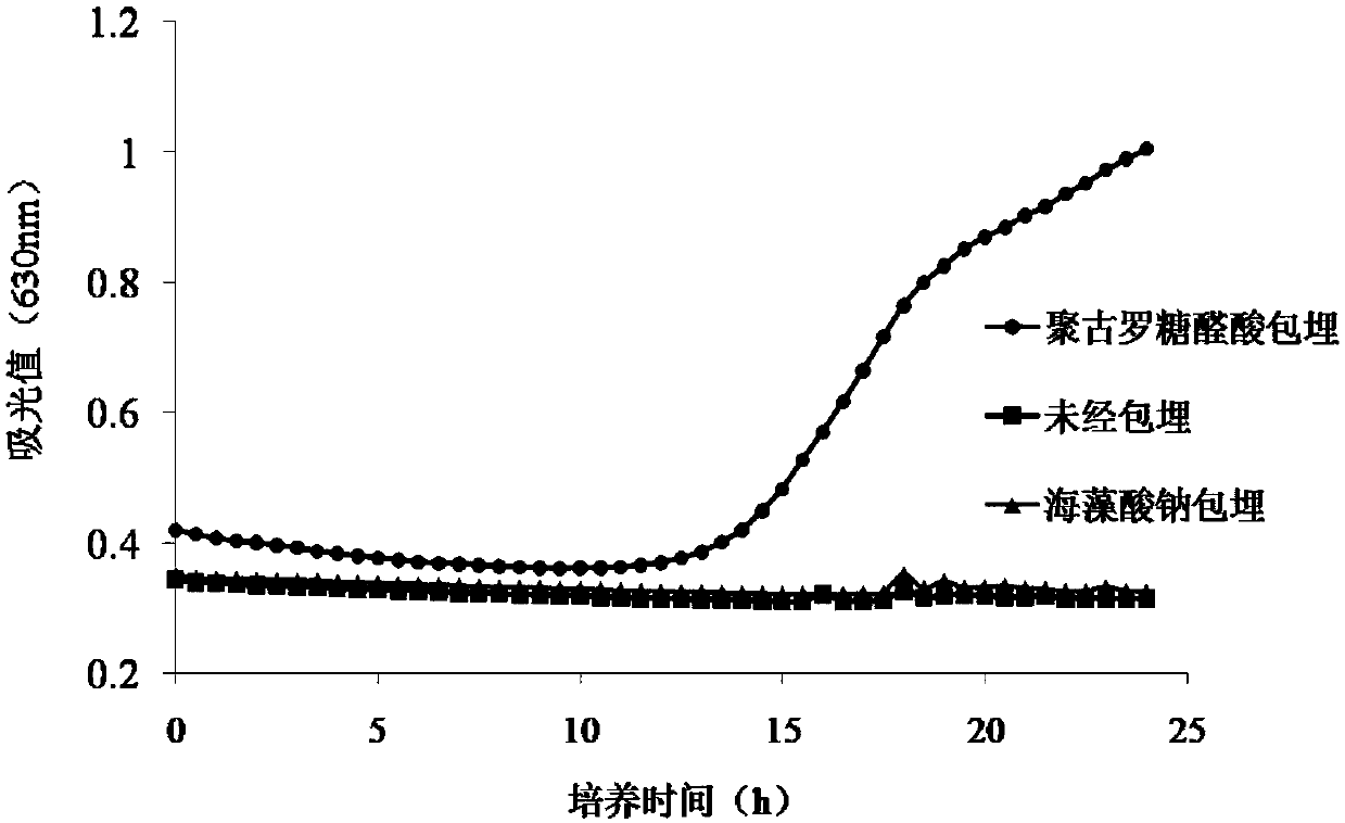 Synbiotic preparation