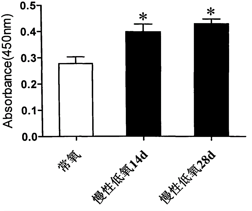 Hypoxia marker molecule chl1 and its application
