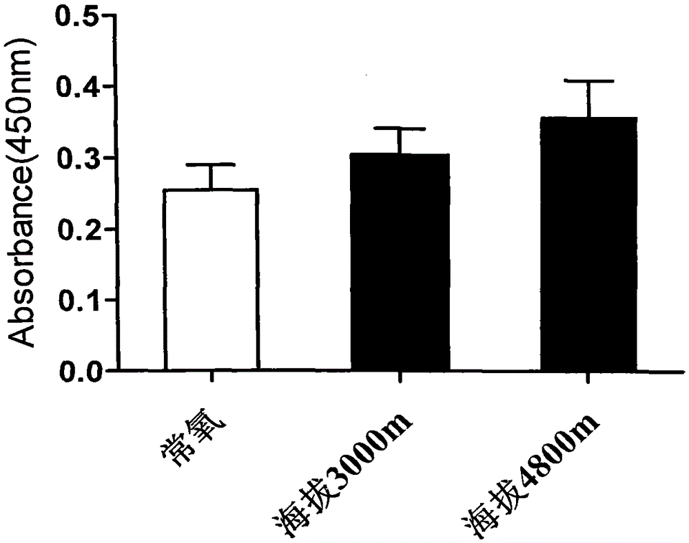 Hypoxia marker molecule chl1 and its application