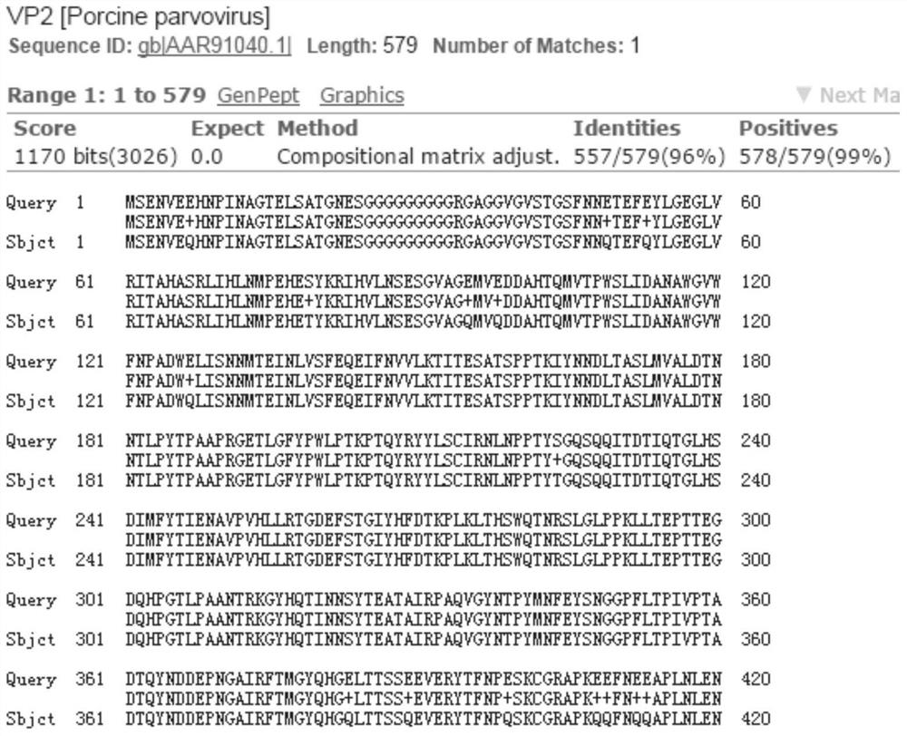 A triple vaccine against porcine parvovirus, porcine epidemic diarrhea and Escherichia coli