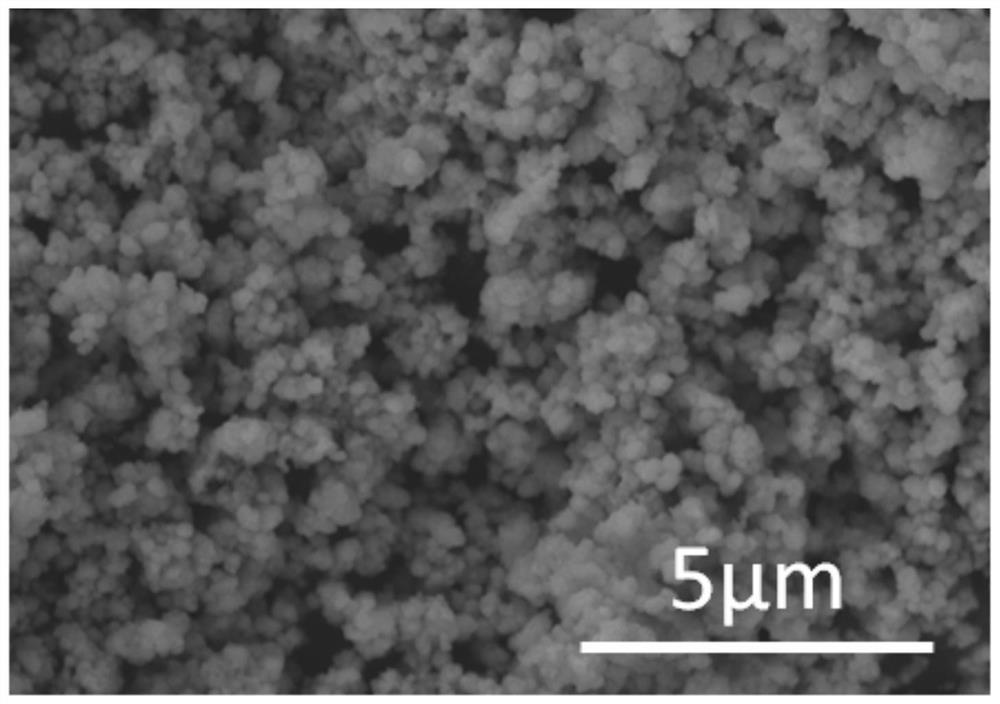 Nano silver niobate powder prepared by coprecipitation method and method