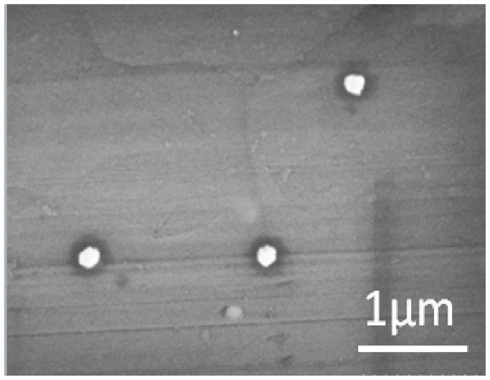 Nano silver niobate powder prepared by coprecipitation method and method