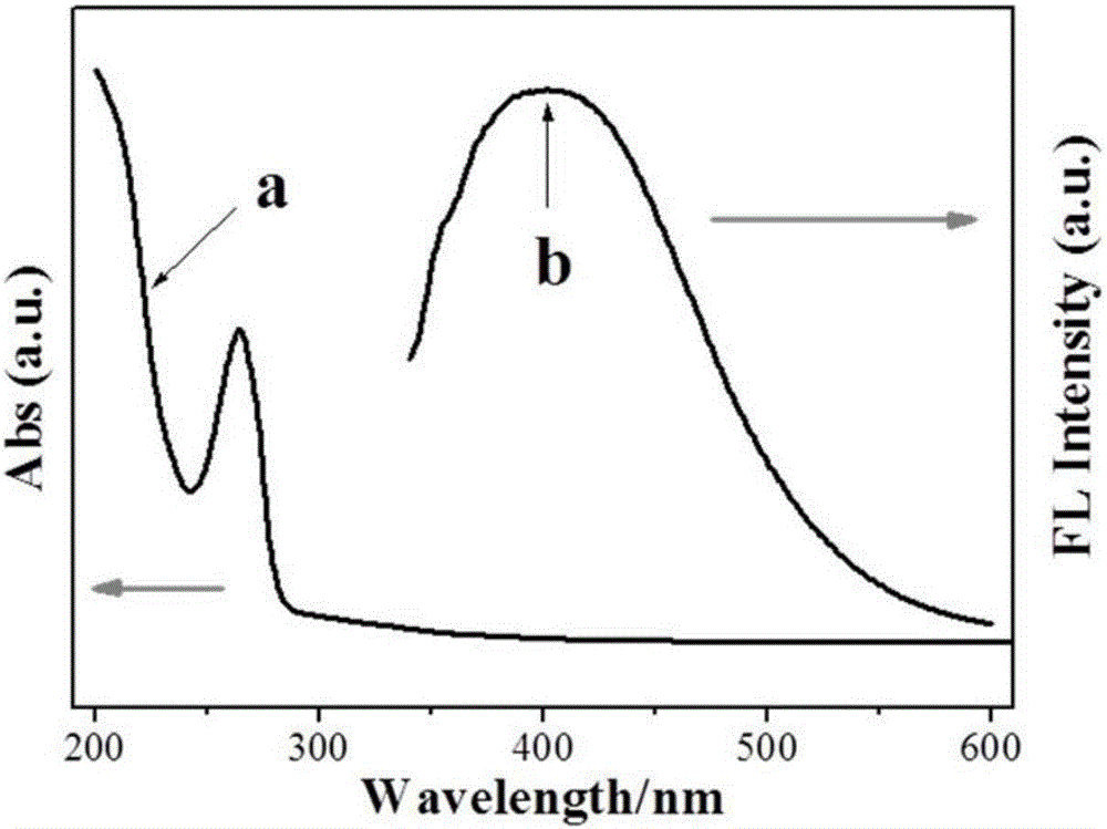 Novel fluorescent carbon-based nanomaterials (FCNMs) as well as preparation method and application thereof