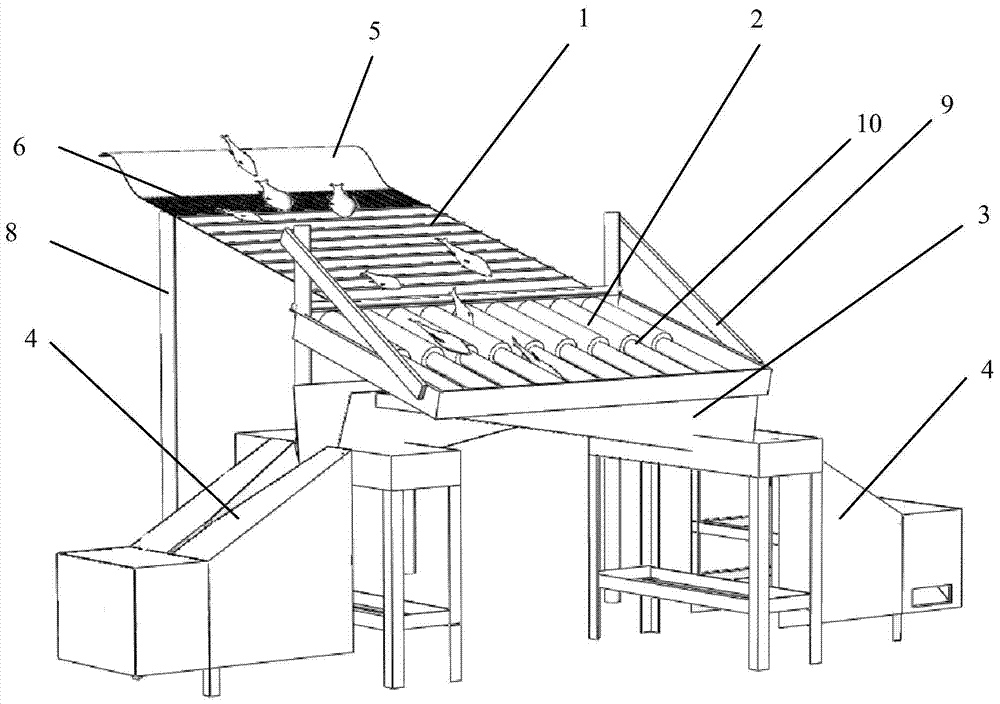 Fry guide grading mechanism and its automatic injection system