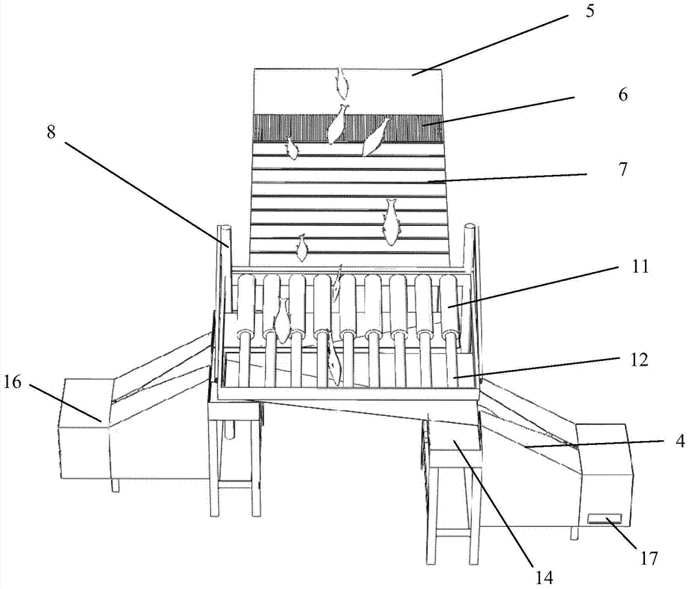 Fry guide grading mechanism and its automatic injection system