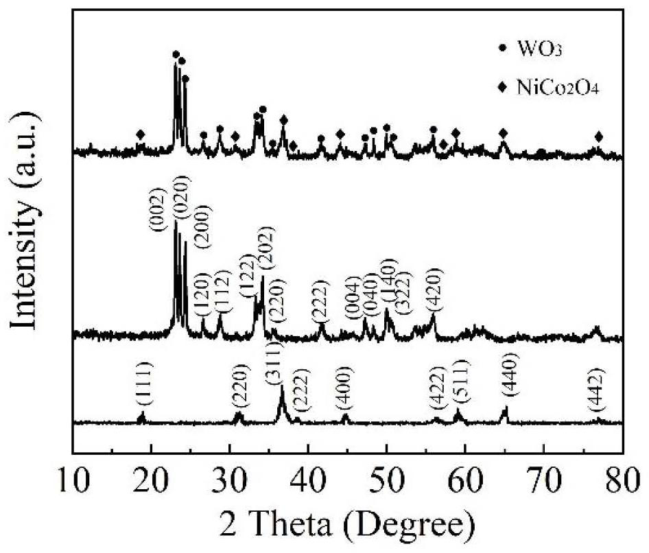 Preparation method of nickel cobaltate/tungsten trioxide nanocomposite structure and its application in gas-sensitive coatings, components and sensors