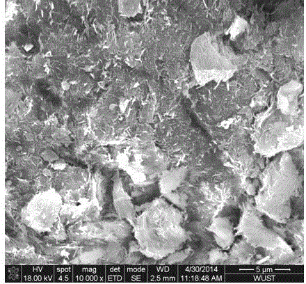 Particulate attapulgite adsorbent and preparation method thereof