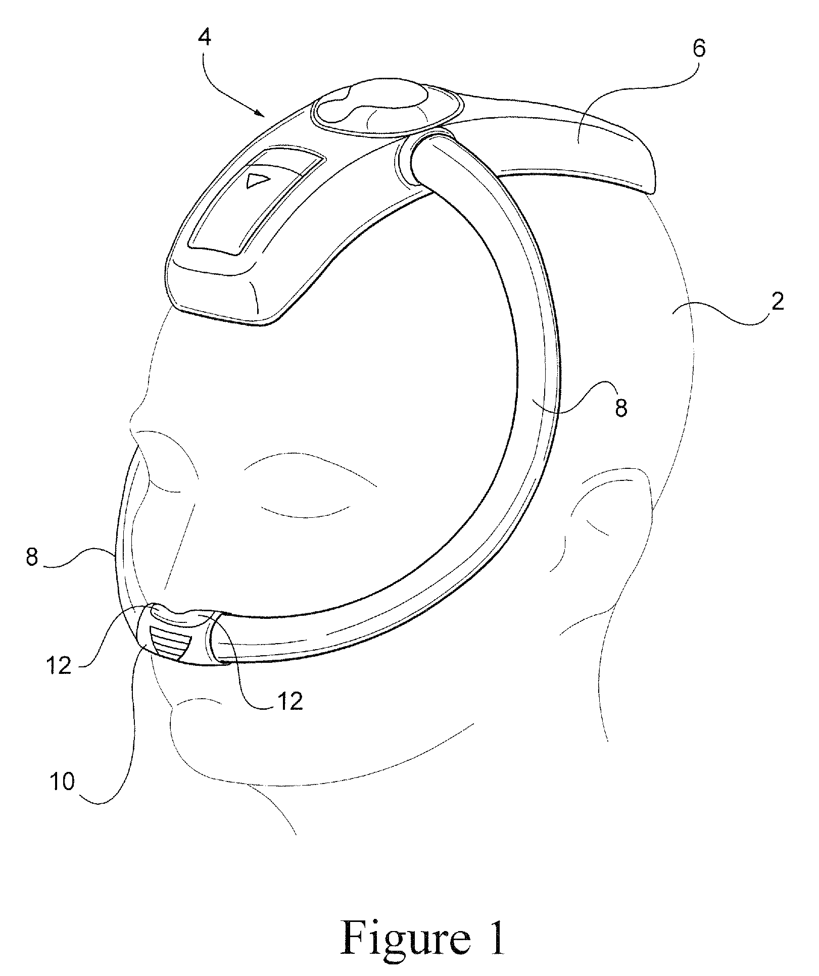 Respiratory apparatus