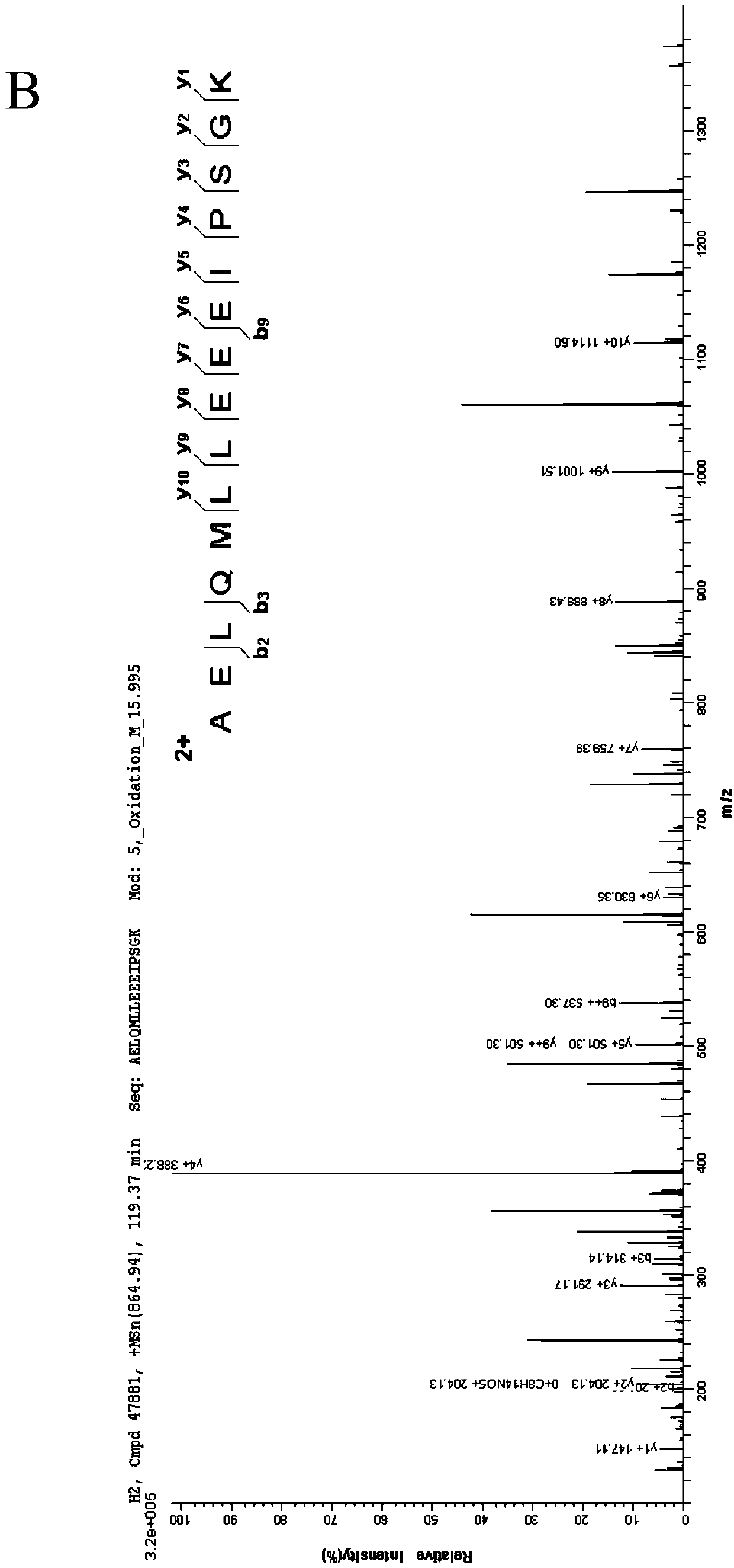 Protein biomarker for diagnosis of osteoporosis and application thereof