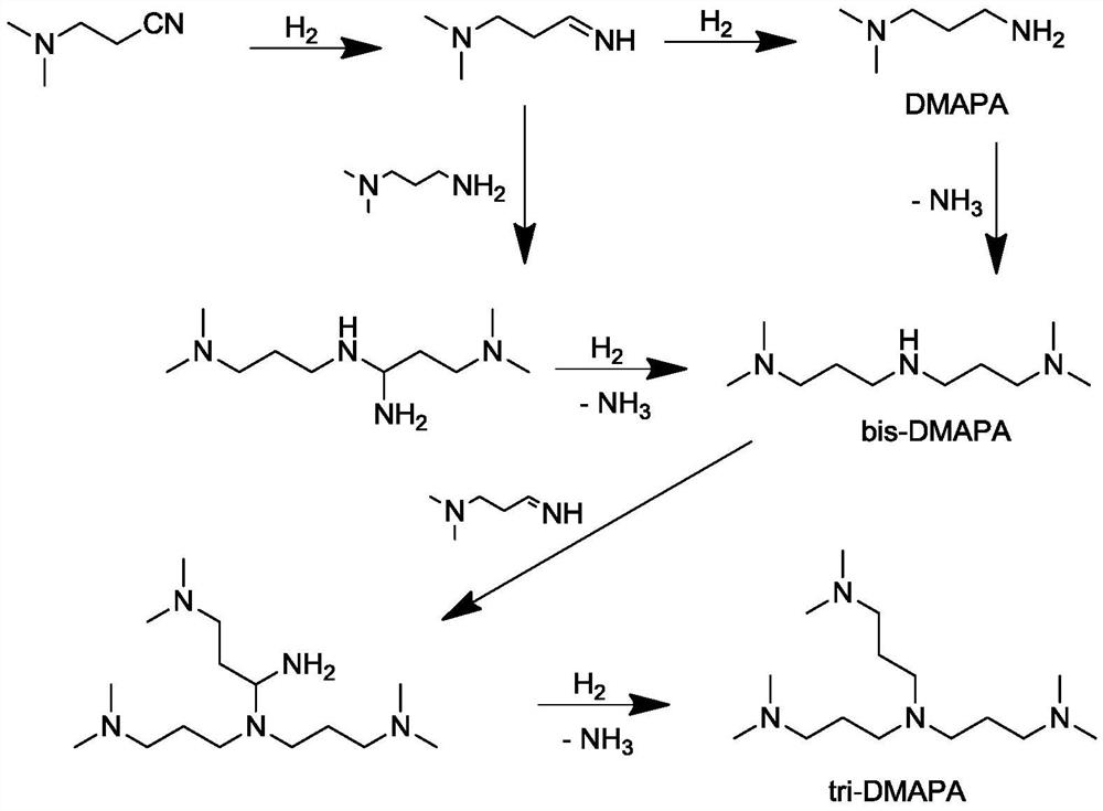 Modified catalyst, preparation method thereof and method for preparing N,N-dimethyl-1,3-propanediamine