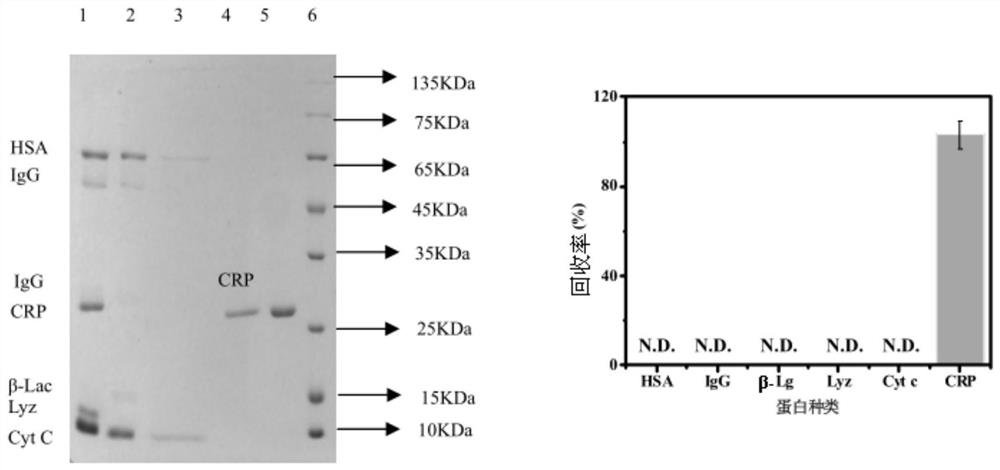 A kind of monolithic material of phospholipid organic polymer and its preparation method and application