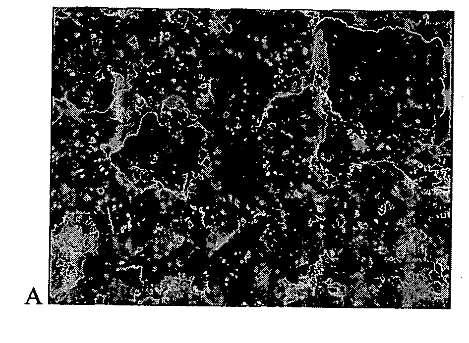 Method to enhance drug release from a drug-releasing material