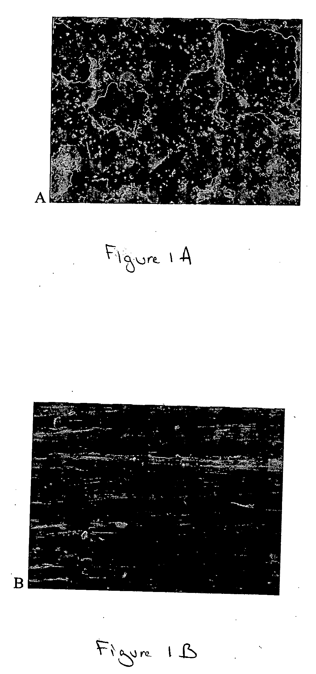 Method to enhance drug release from a drug-releasing material