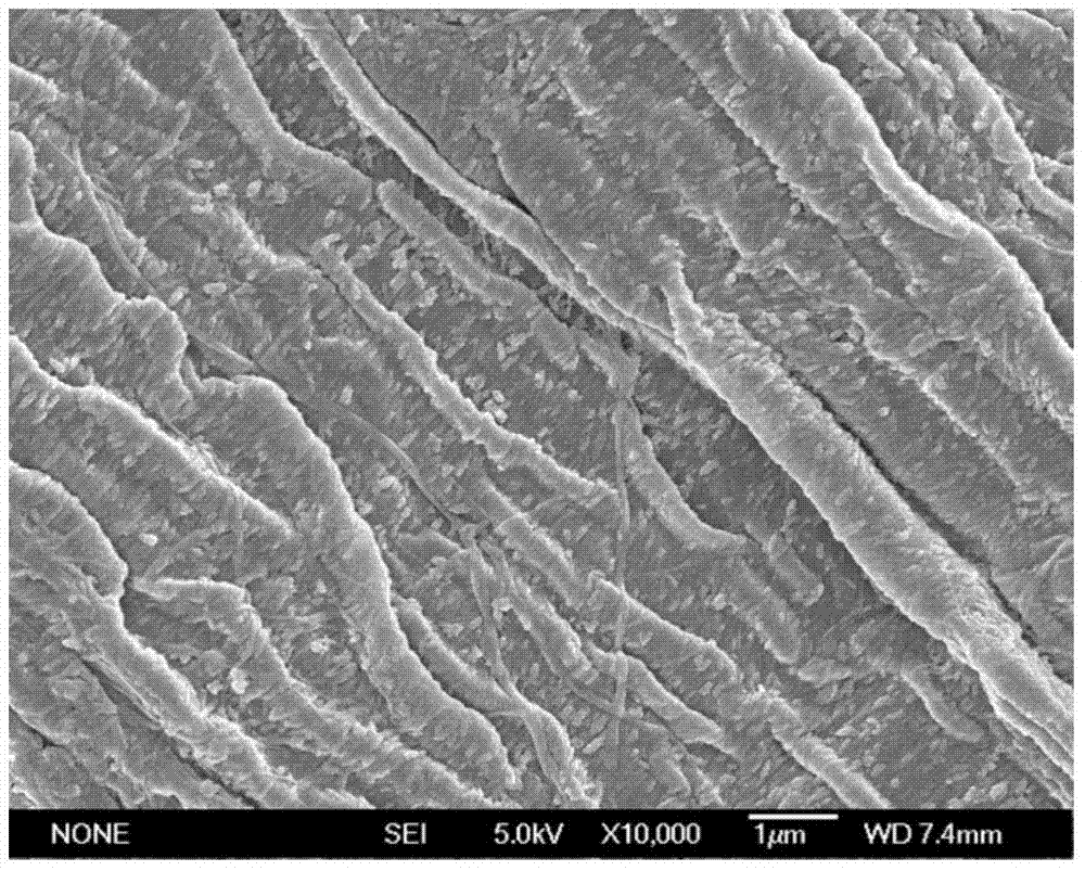 Titanium dioxide nanometer composite material, and preparation methods and use thereof