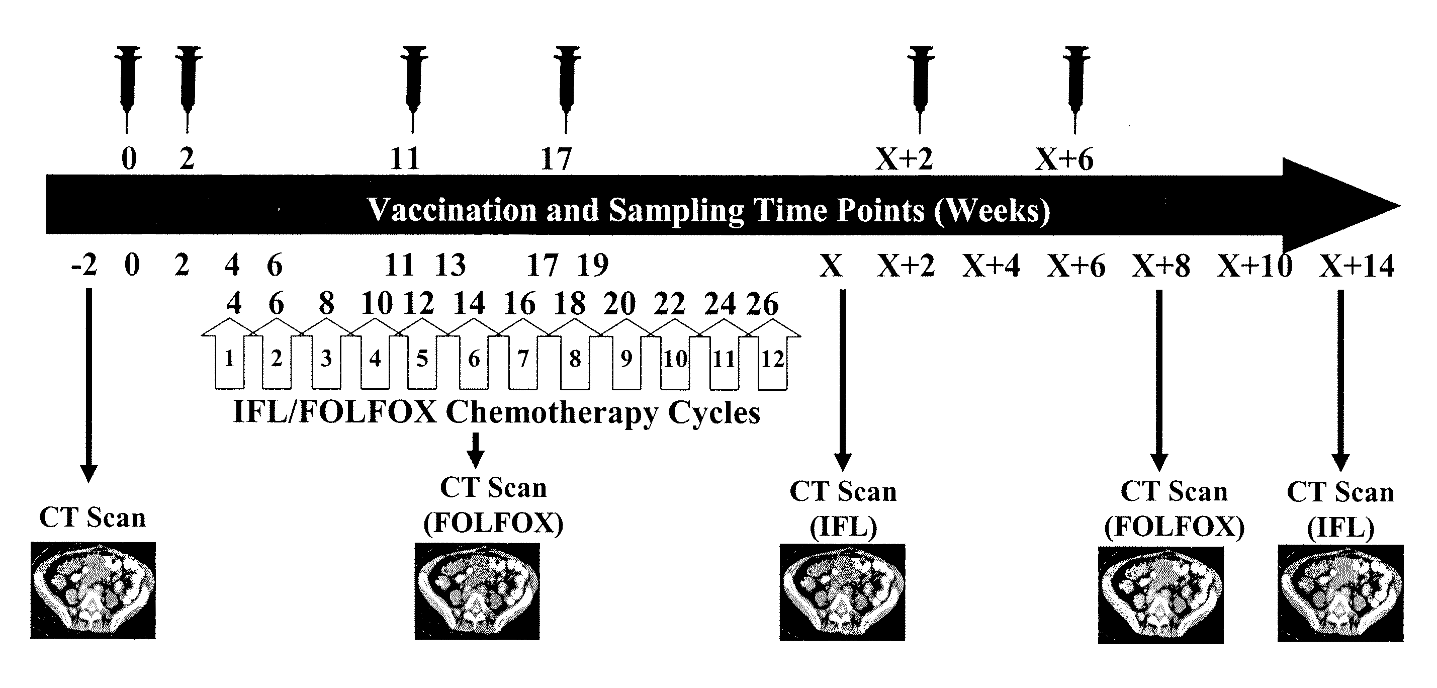 Chemo-Immunotherapy Method