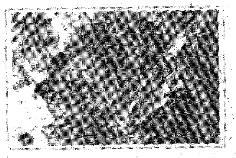 Method for detecting and diagnosing faults of intermittent low-speed and heavy-load device