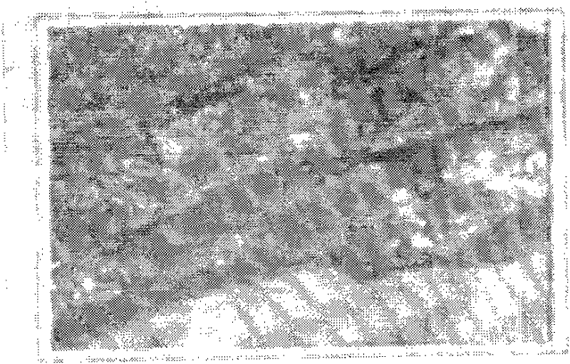 Method for detecting and diagnosing faults of intermittent low-speed and heavy-load device