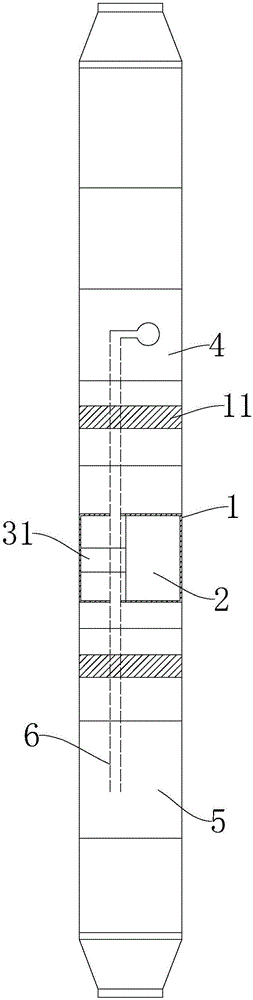 Downhole detection system and method