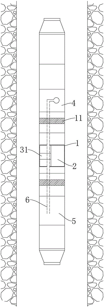 Downhole detection system and method