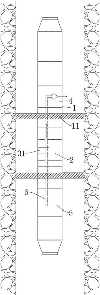 Downhole detection system and method