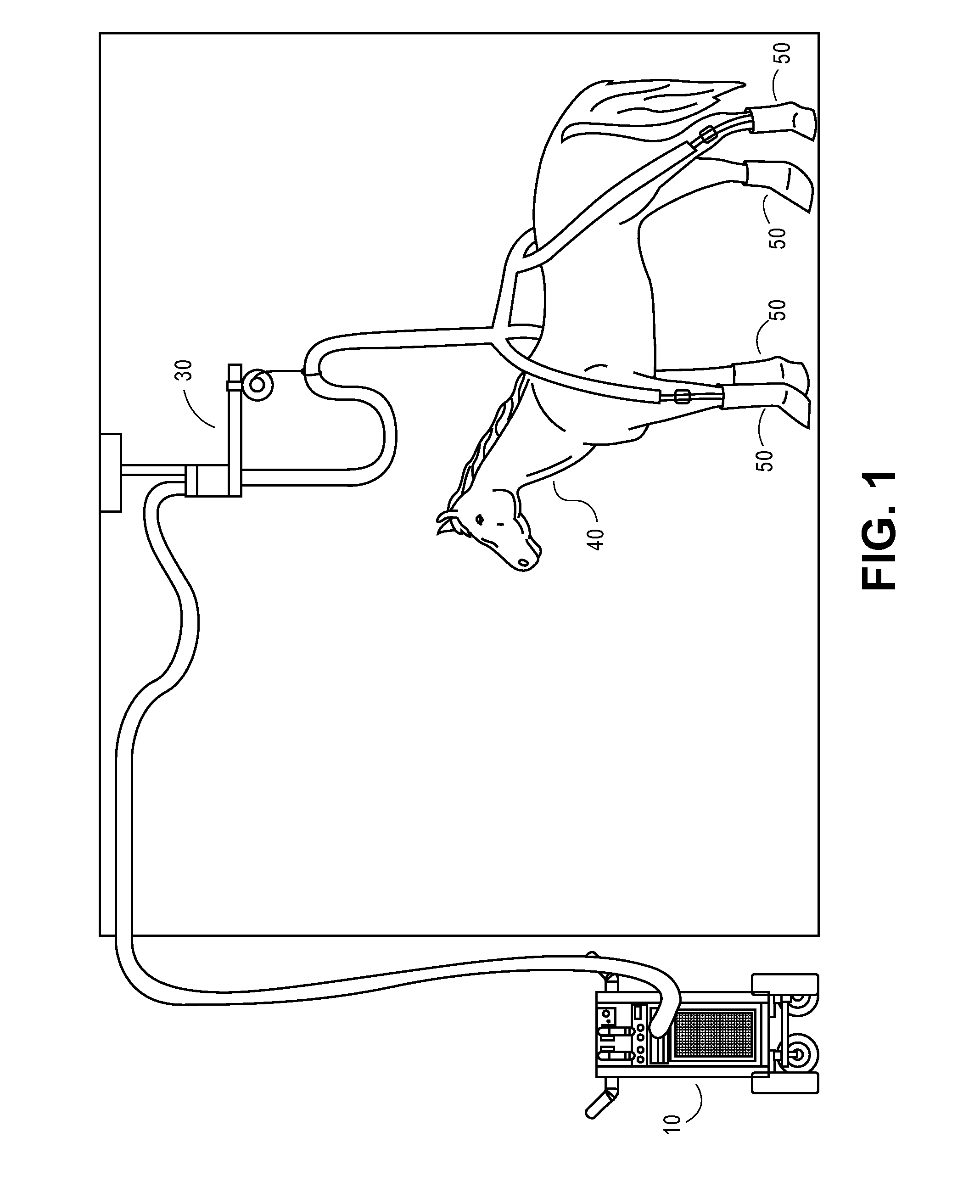System for providing treatment to a mammal