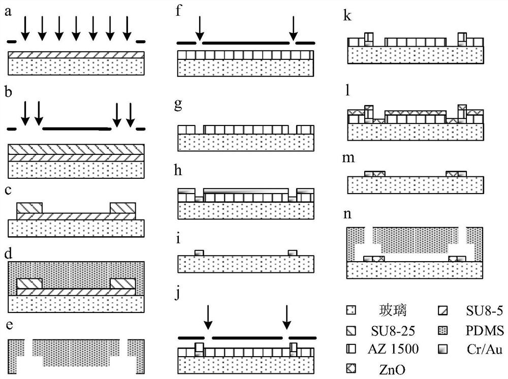 Uncompressed channel-based unicellular biophysical property detection device and unicellular biophysical property detection method