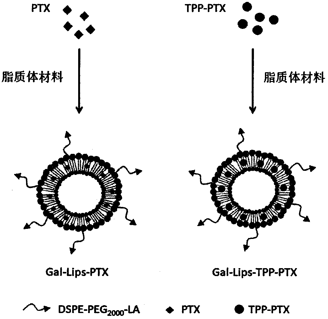 Programmable targeted liposome for cascade delivery of single drug and chemical drug combined therapy