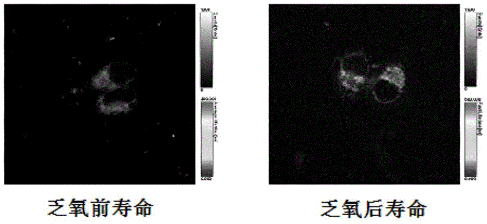 A kind of phosphorescent iridium complex and its preparation method and application