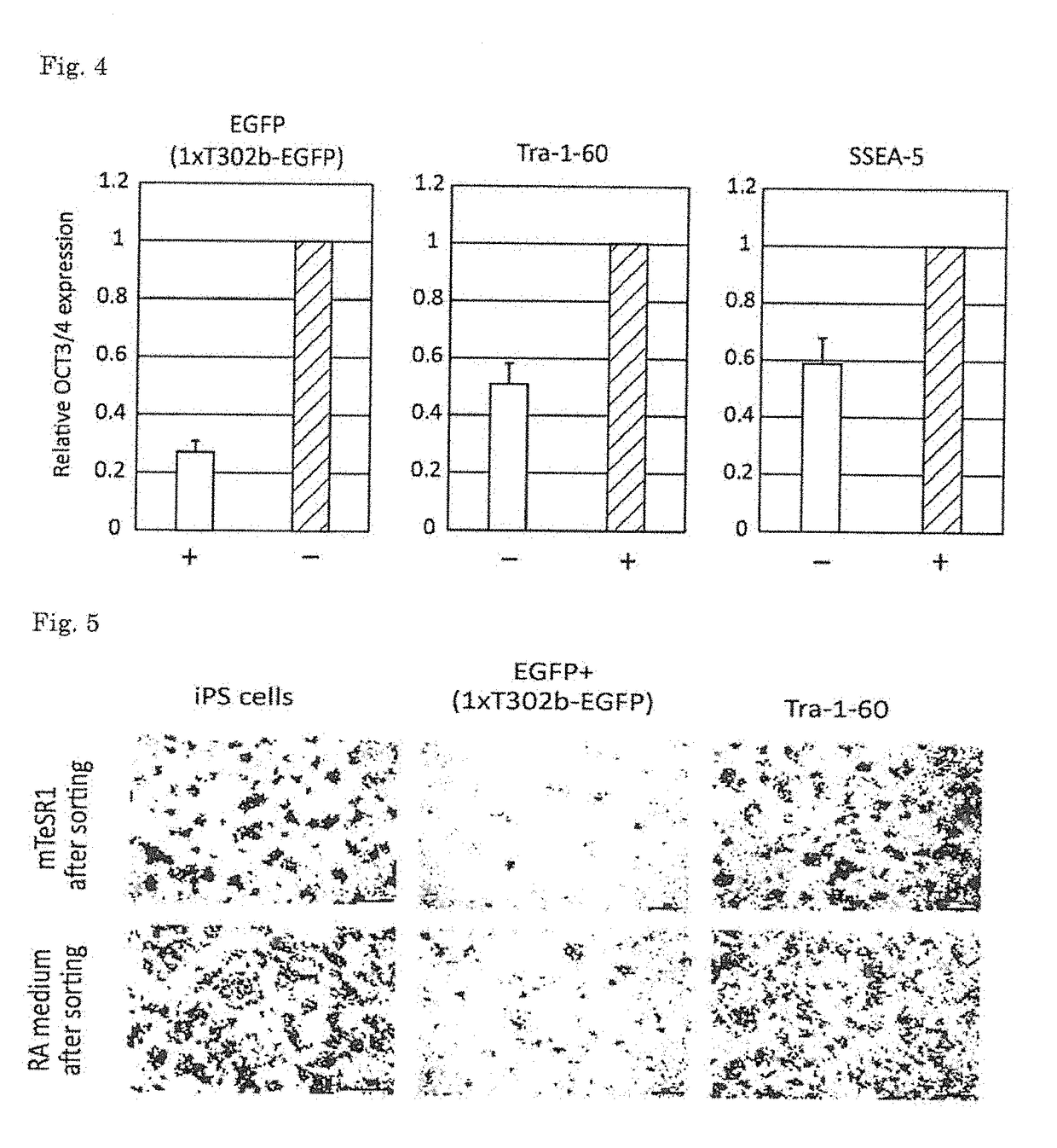 Method for extracting differentiated cells