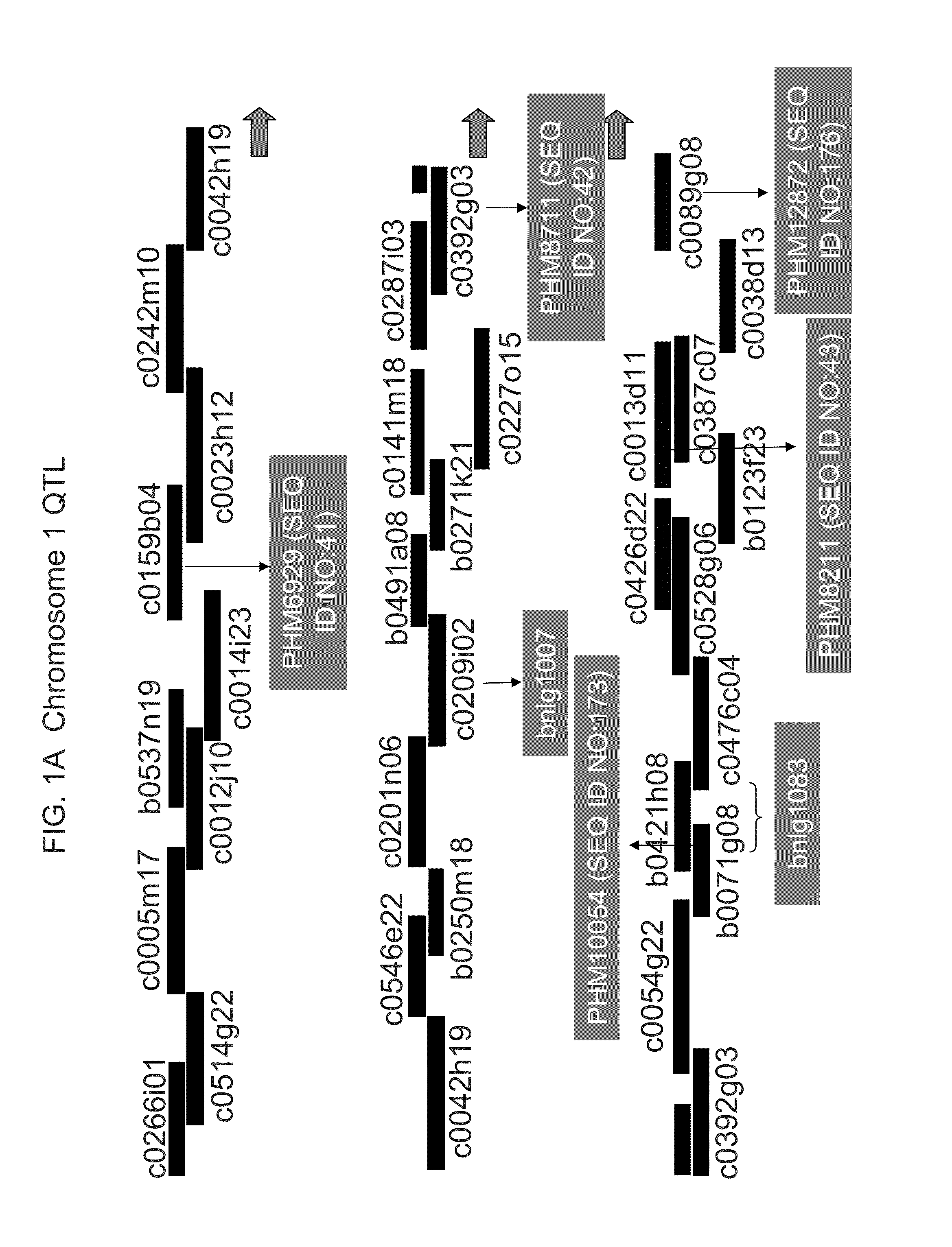 Genetic loci associated with fusarium ear mold resistance in maize