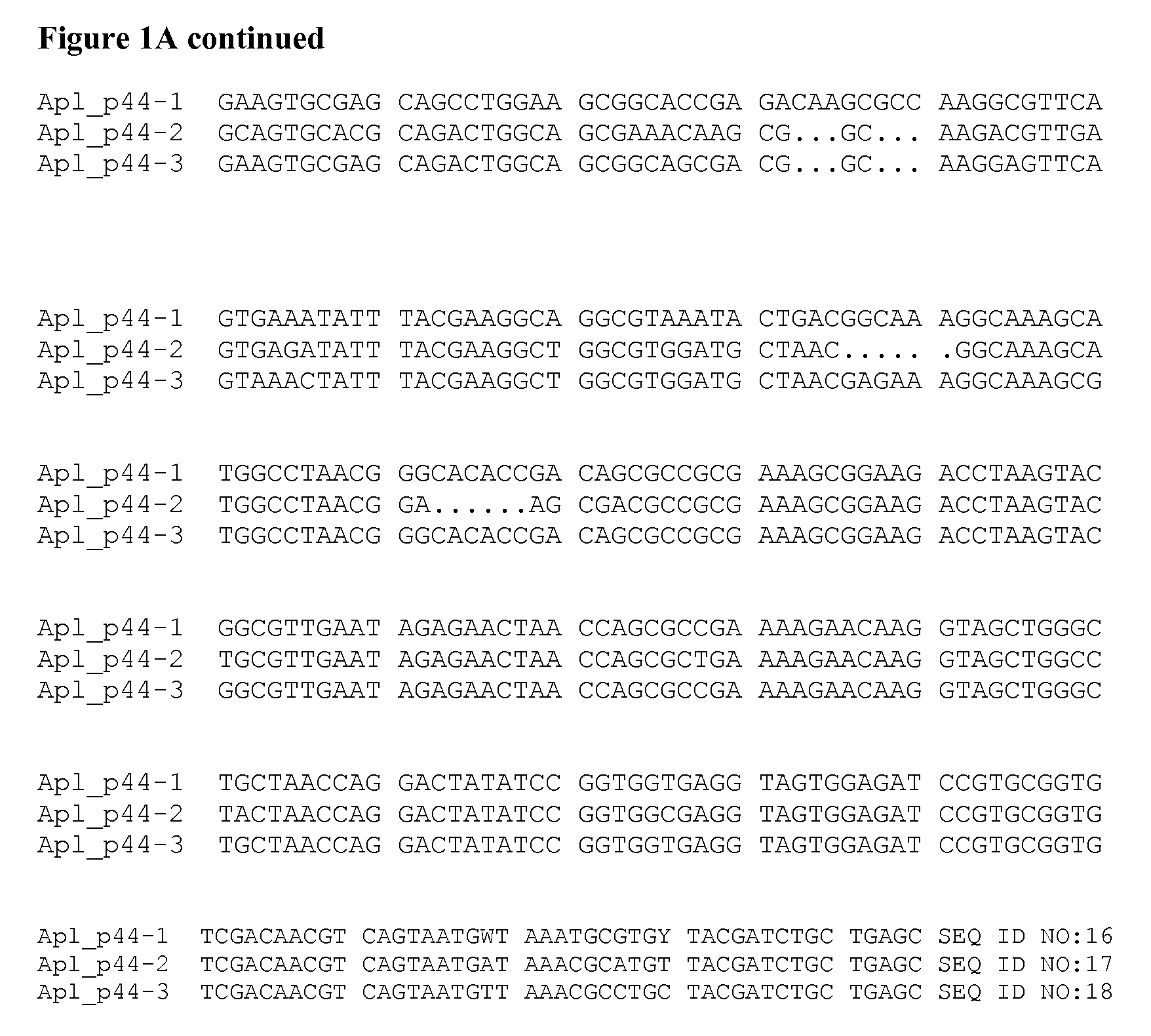 Detection of Anaplasma platys