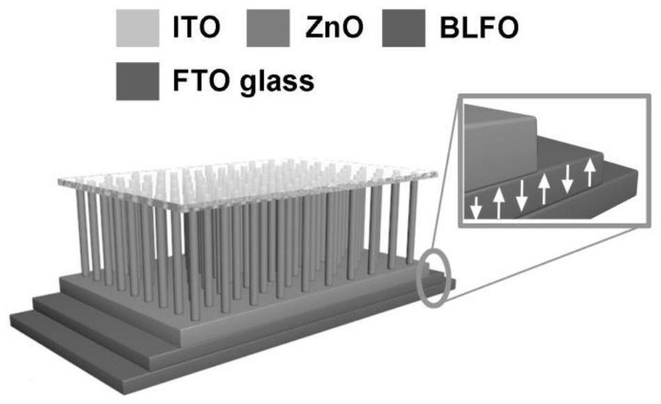 Method for improving photoelectric property of BLFO/ZnO heterojunction by utilizing ferroelectricity and piezoelectric optoelectronics effects